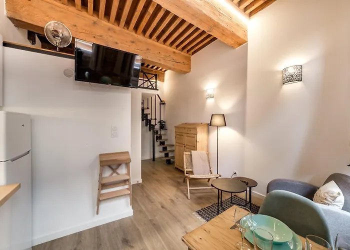 Studio De Charme Au Coeur De Lyon Ail